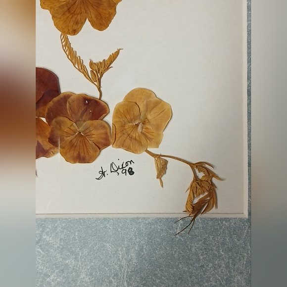 Vintage Pressed Flowers Framed Wall Art Decor Artist Signed - Picture 4 of 10